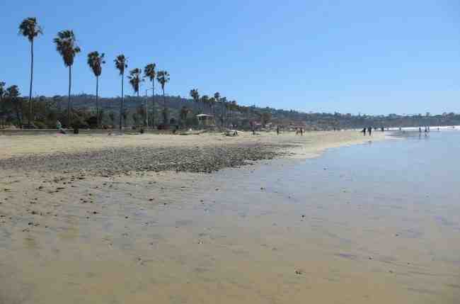 Can you swim at the beach in San Diego?