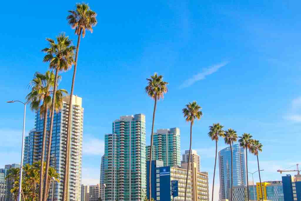 What can you do with half a day in San Diego?