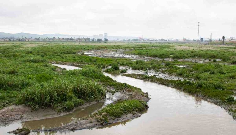 In the face of fierce opposition, the Encinitas legislature fired the chief planning officer