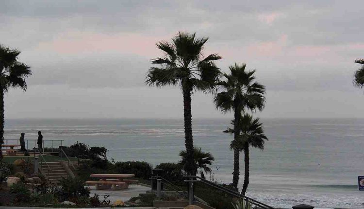 Solana Beach man, 46, killed and killed on I-5 in Encinitas