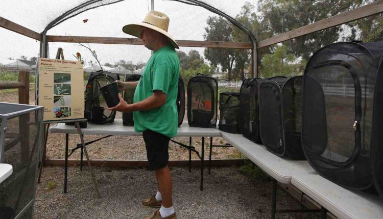 Weekly Crime Reports: Encinitas, Solana Beach, Del Mar