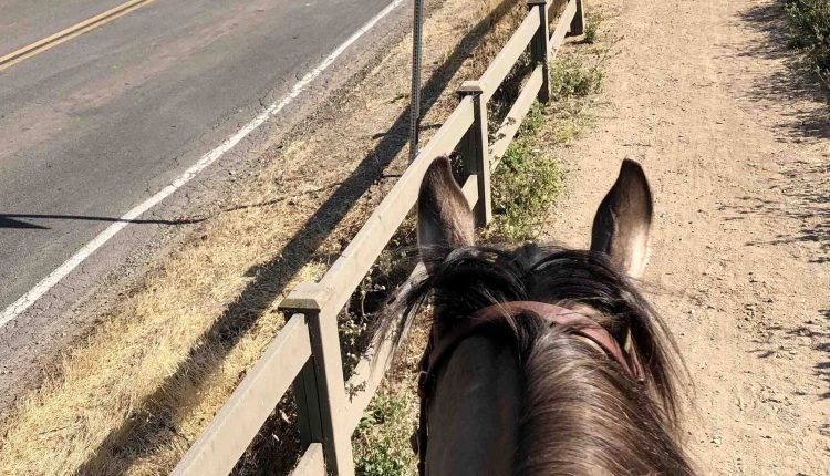 Happy trails: Encinitas celebrates the new Trail 95 in Olivenhain